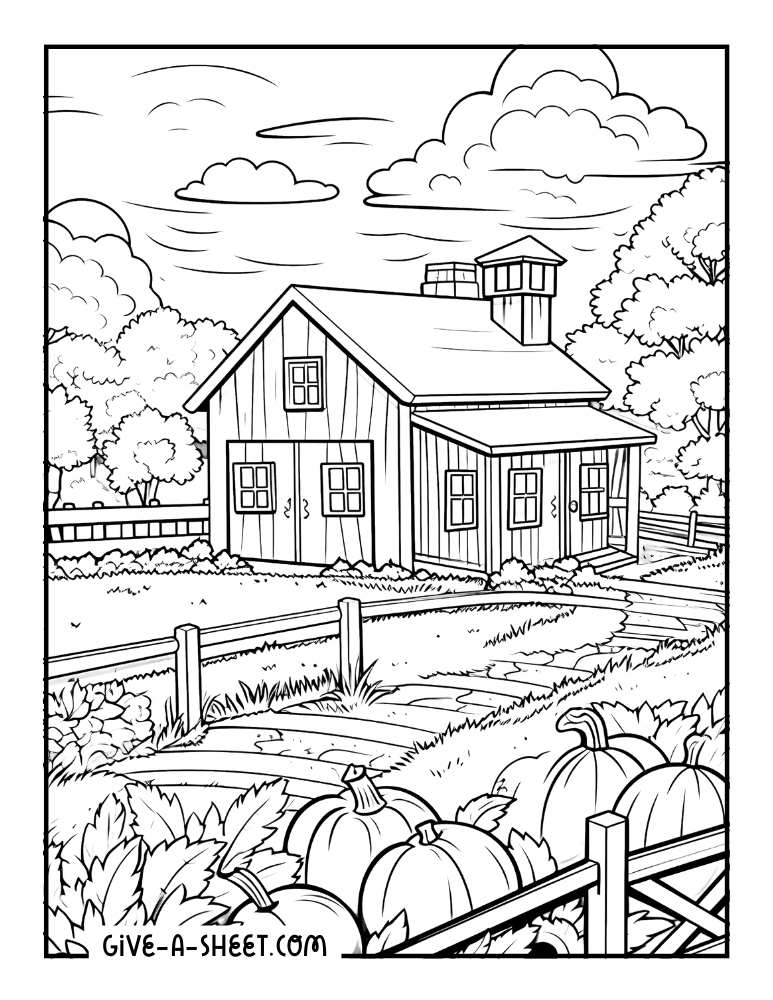 Pumpkin farm coloring page for adults.