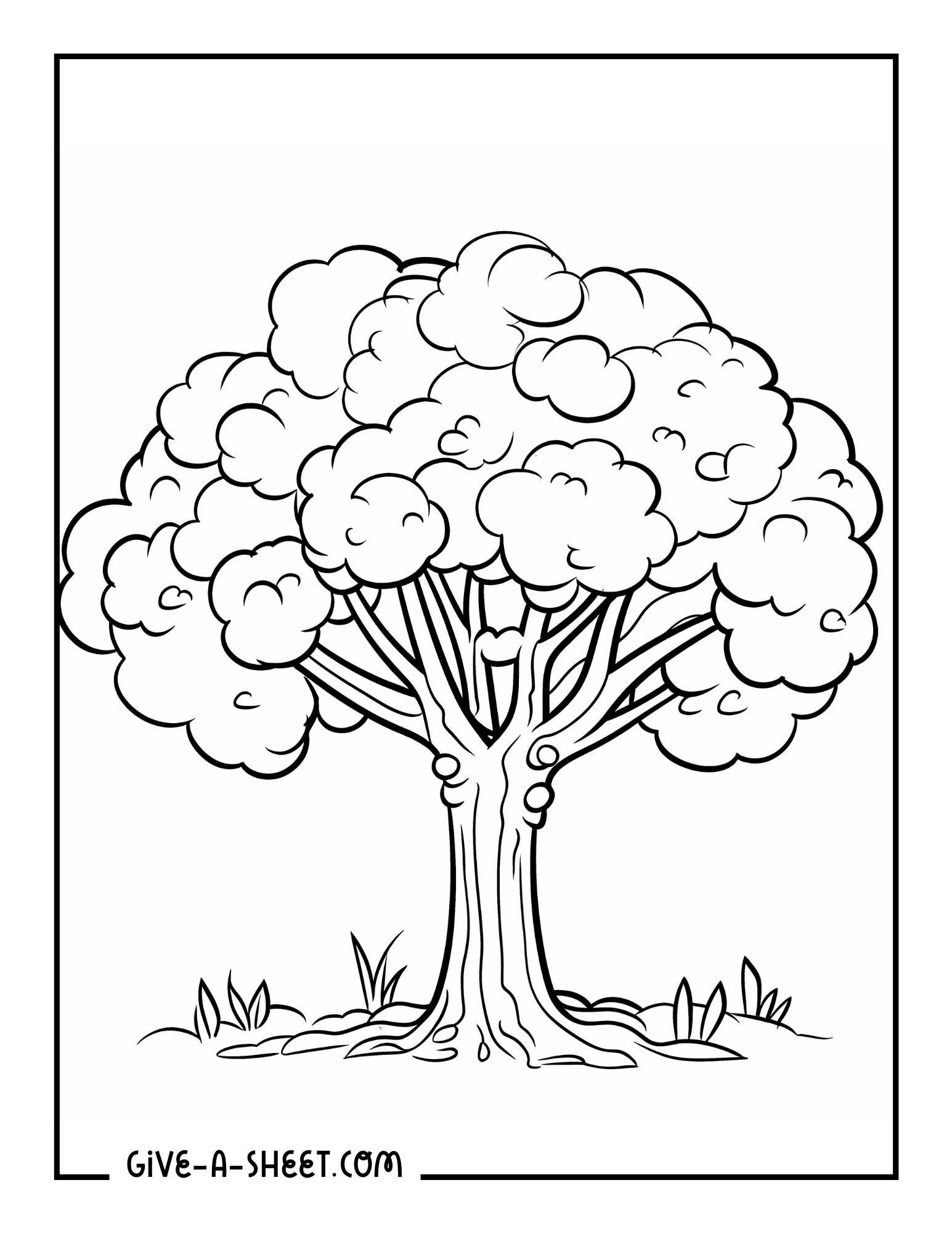 Beautiful tree pictures to color in.