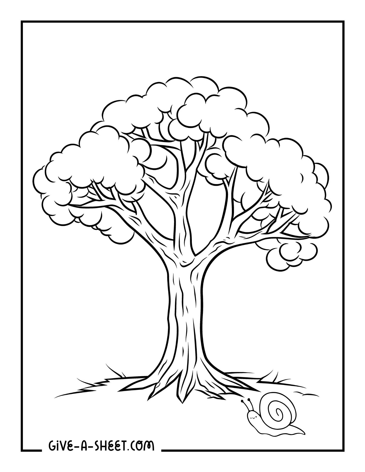 Tree pictures to color in for kids of all ages.